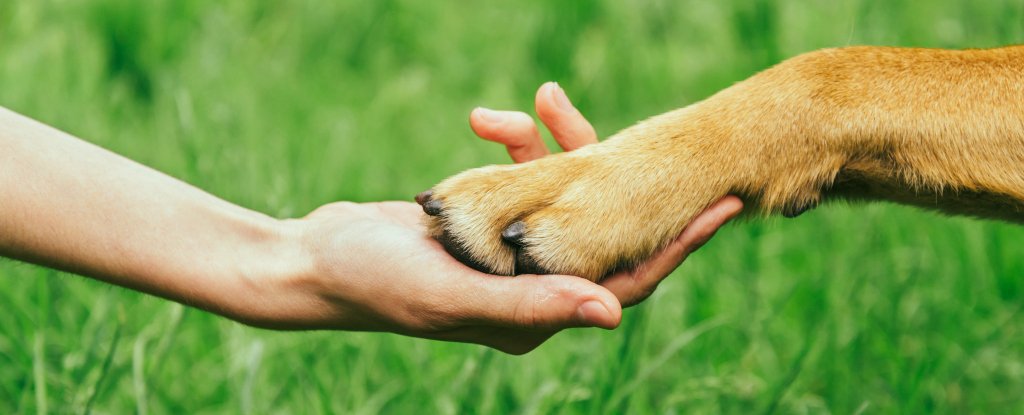 We Might Finally Know Why Humans Don't Have Hair on Some Body Parts : ScienceAlert We Might Finally Know Why Humans Don't Have Hair on Some Body Parts : ScienceAlert