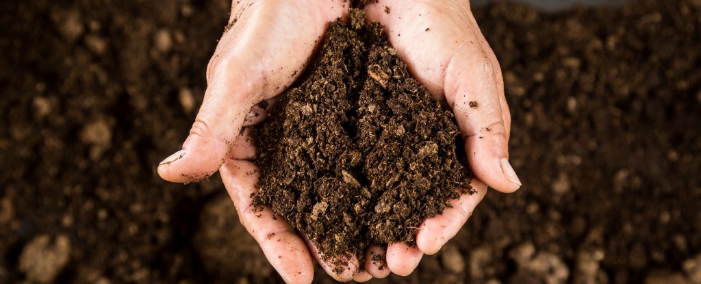 A state is on the verge of legalizing human composting