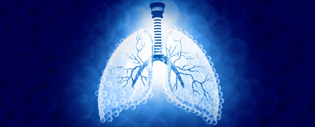 Stanford researchers built a cool ‘lung’ device that turns water into clean fuel