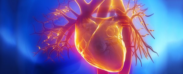 Pig heart transplants have kept baboons alive for months in groundbreaking study