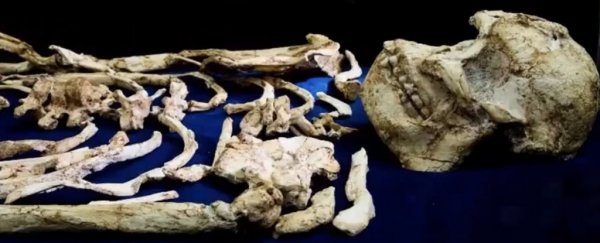 We just got evidence of a mysterious new species of early human hiding in plain sight