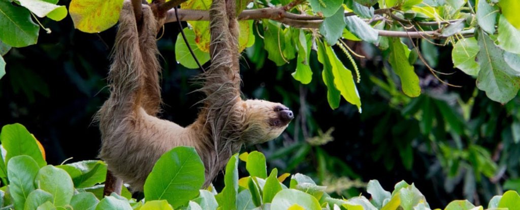 25+ astounding science facts we didn’t know at the start of 2018