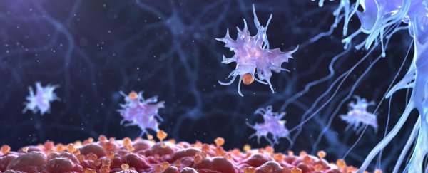 Scientists have discovered how to recruit and reprogram skin cells to fight cancer
