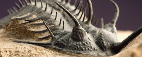 Finally, we know what killed sea life in the deadliest mass extinction in history