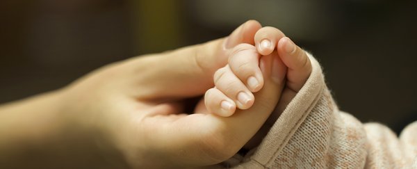 New study shows why X and Y chromosomes alone don't determine a baby's sex