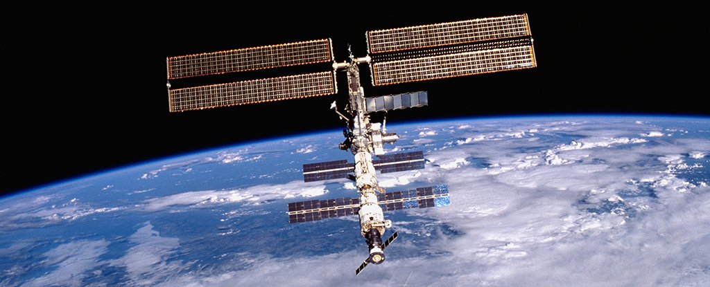 We finally have found one part of the human body not damaged by space travel