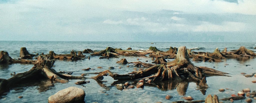 This Little-Known Sea Is a Grim Preview of What Global Warming Will Do to Oceans