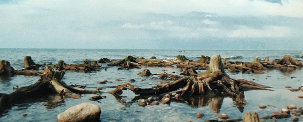 This little-known sea is a grim preview of what global warming will do to oceans