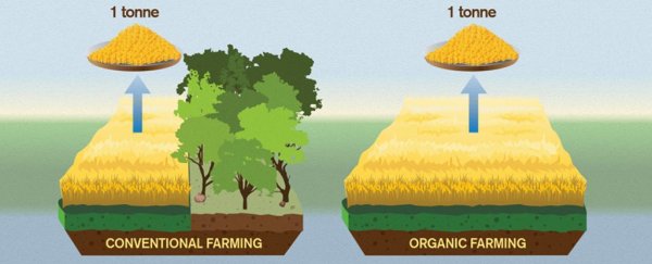 New paper shows how much worse organic farming can be for the climate