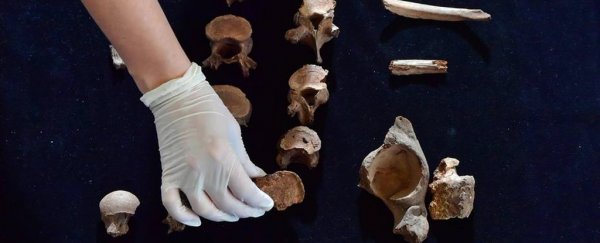4,000 years ago a 'prince' fell victim to oldest known political assassination