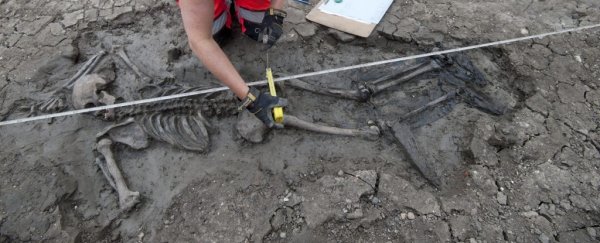 Medieval skeleton pulled from Thames, still wearing thigh-high leather boots