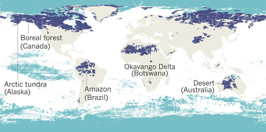 The world's remaining wilderness. Dark blue = terrestrial. Light blue = marine (Modified from Watson et al, Nature 2018)