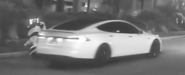 Tilbagekaldelse udstødning hoppe Video Apparently Shows Self-Driving Tesla 'Hitting And Killing' a Robot in  Las Vegas : ScienceAlert