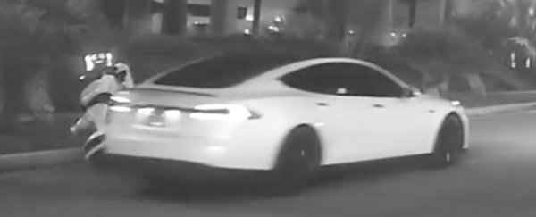 Video apparently shows self-driving Tesla 'hitting and killing' a robot in Las Vegas