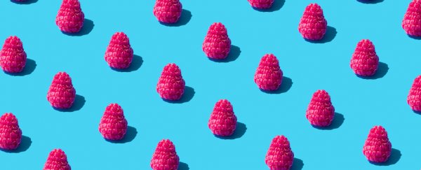 Here's one thing you need to know about people who strongly oppose GMOs
