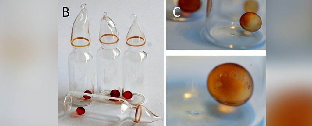 This experiment will run for 500 years. Now, we have the very first results