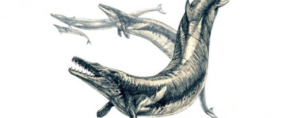 Scientists discover the remains of a whale inside a bigger, ancient whale