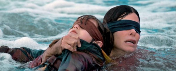 Some viewers are criticizing 'Bird Box' for how it depicts mental health