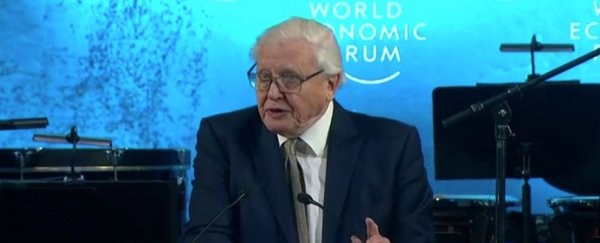 Sir David Attenborough warns we've entered a new geological age during his lifetime