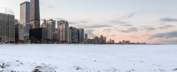 It's so cold, Chicago appears to be experiencing 'frost quakes'