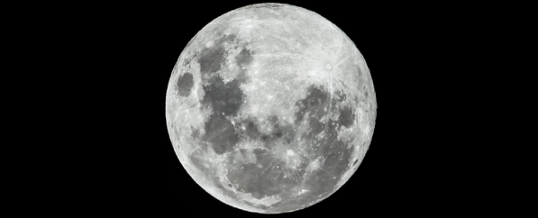 We have very sad news about the first-ever Moon plant