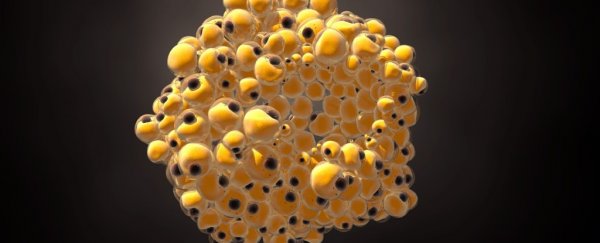 Scientists successfully turn breast cancer cells into fat to stop them from spreading