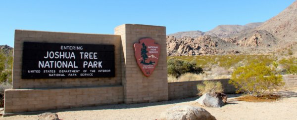 Only 2 weeks into gov shutdown, national parks are being closed due to trash