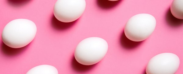 Sperm could be a bigger factor in miscarriages than we've been led to believe