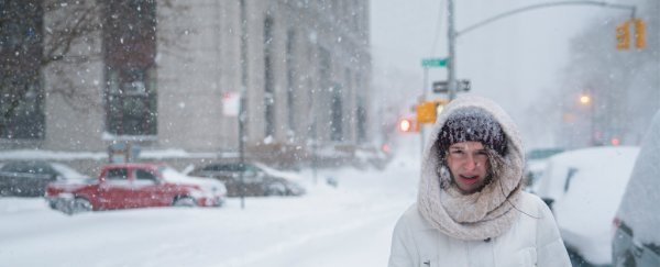 Here's the real connection between the brutal polar vortex and global warming