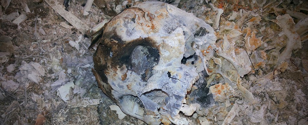 The difference between the sexes is written into our bones, even after cremation