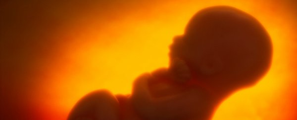 A horrible birth defect on the rise in the US could be linked to opioid use