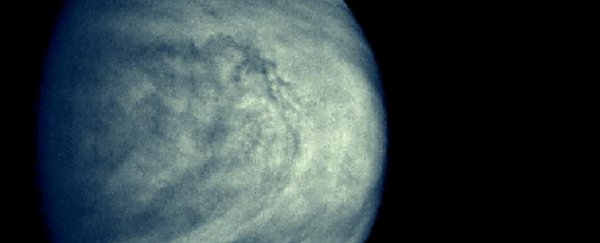 Astronomers just discovered strange patterns in the clouds of Venus