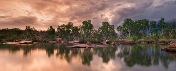 5 heartbreaking maps reveal how shockingly little wilderness remains on Earth
