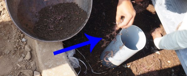These genius 'worm toilets' backed by Bill Gates are changing people's lives in India