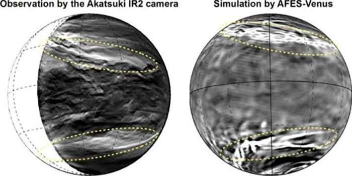 streaky venus 2