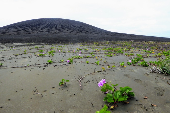 028 hunga tonga island volcano life 3