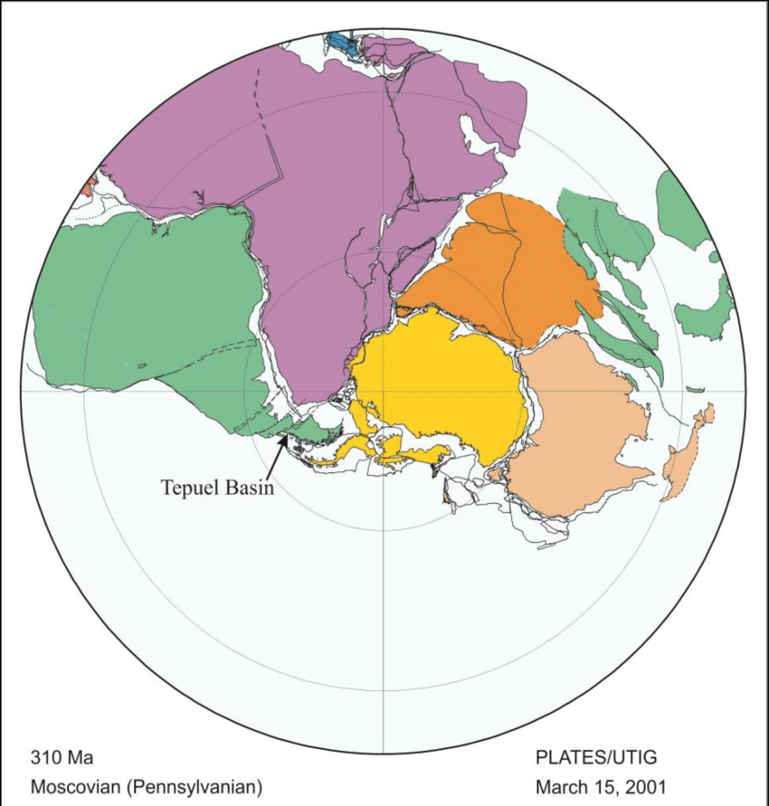 Plate reconstruction of Gondwana during the late Paleozoic at 310 Ma