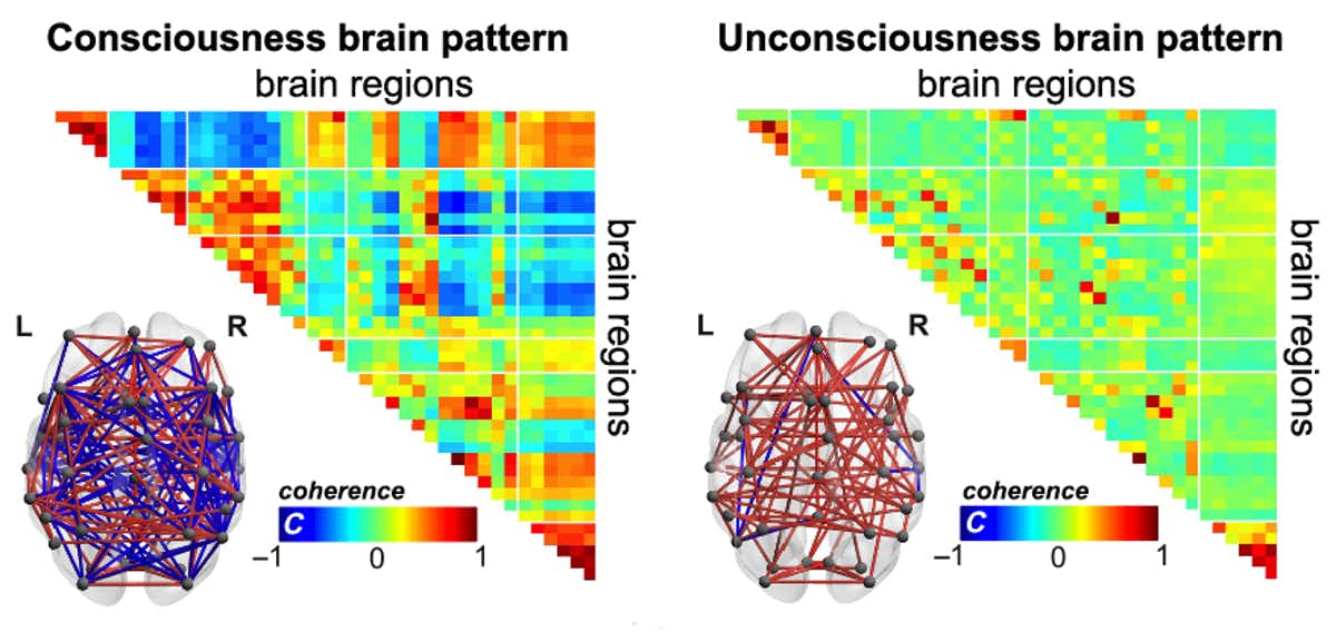 (Tagliazucchi et al. 2019)