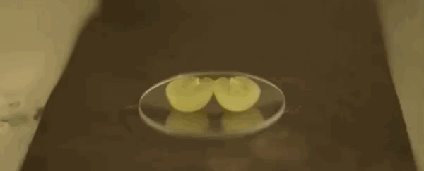 We may have been wrong about why grapes make plasma in the microwave