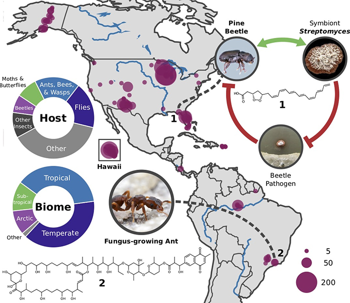 insect drugs 2