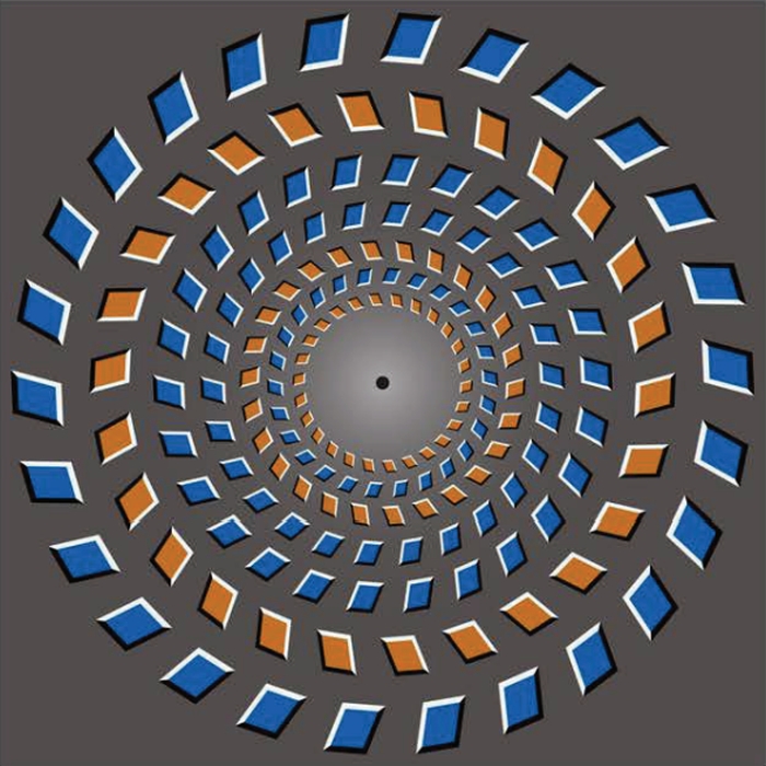 pinna experiment