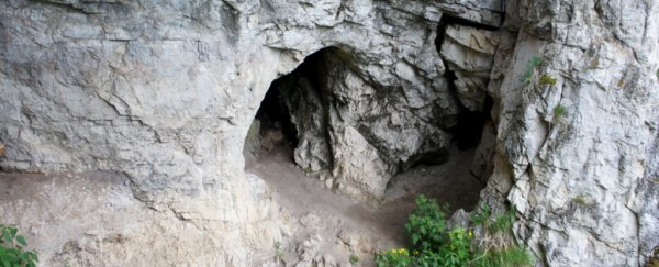 An entrance to a cave in Siberia.