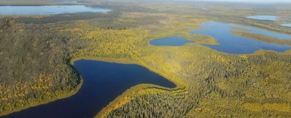 Finally, we have some good news about those lakes in the Arctic