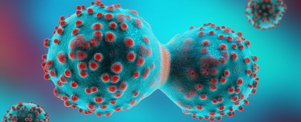 Cancer growth could originate from a single cell – now it's time to target it