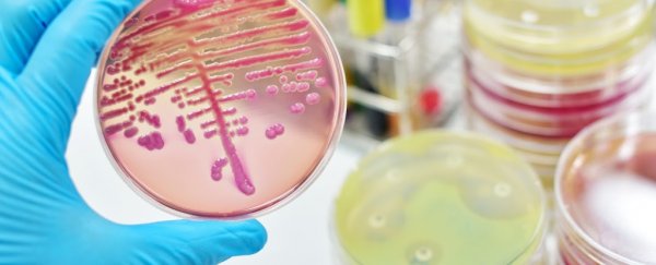 It's official: scientists can now make the cannabis psychoactive without the plant