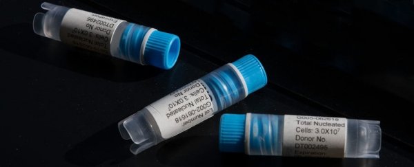 A 'miracle' stem cell cure keeps landing people in hospital with nasty infections