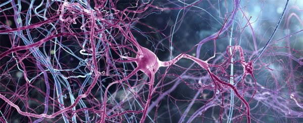 Neuroscientists say they've identified the unique brain patterns of consciousness
