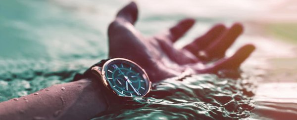 A Harvard professor says we waste 5-minute chances to be happier every single day