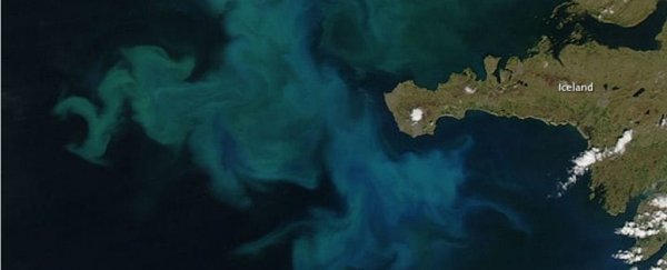 Climate change will soon change the colour of our oceans. Here's how