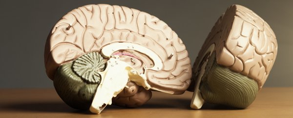 Scientists have identified four distinct types of Alzheimer's and what they do to us